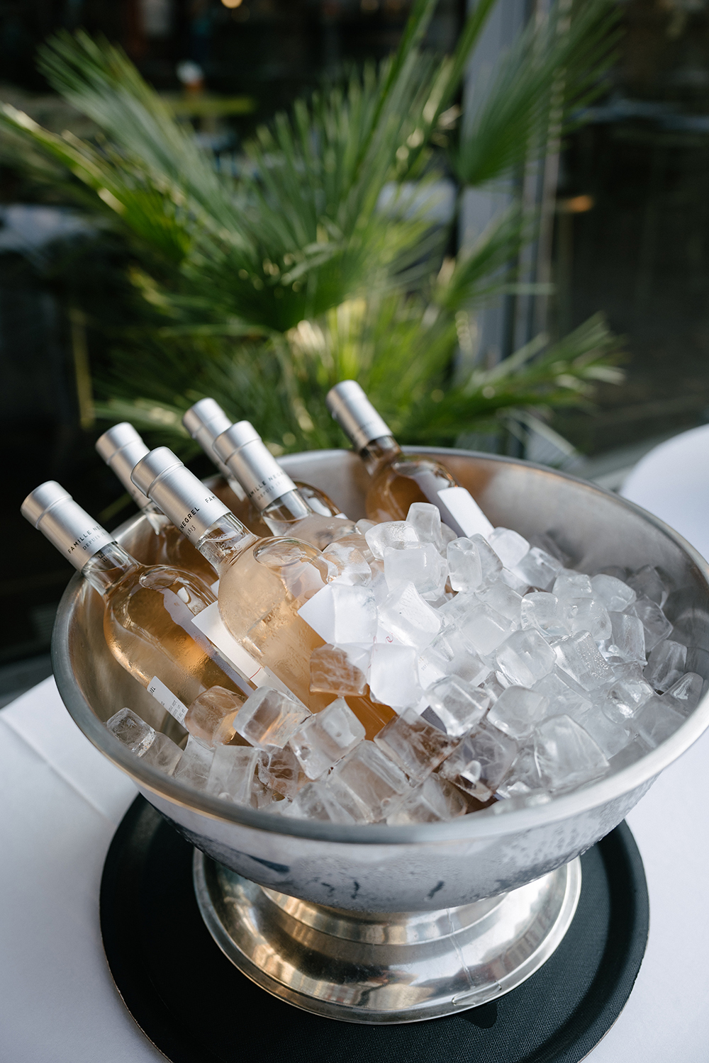 Flasche Roséwein in silbernem Eisbehälter, umgeben von Eiswürfeln und tropischem Grün im Hintergrund.