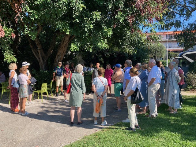 Gruppe von Menschen versammelt sich unter einem großen Baum in einem sonnigen Park.